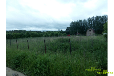 Высота травостоя 80 см