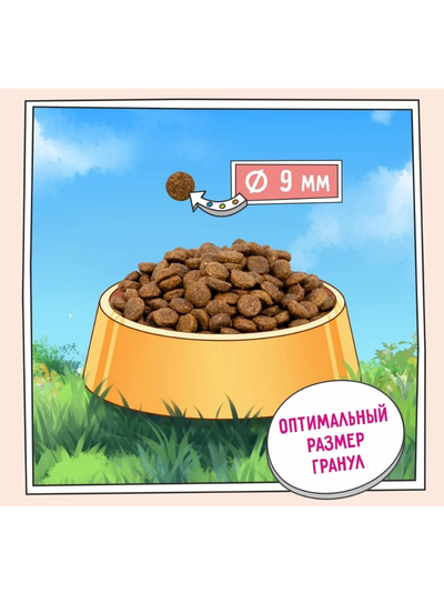 ZILLII Adult Dog Small Breed корм сухой для собак мелких пород Идейка с Ягненком 0.8 кг