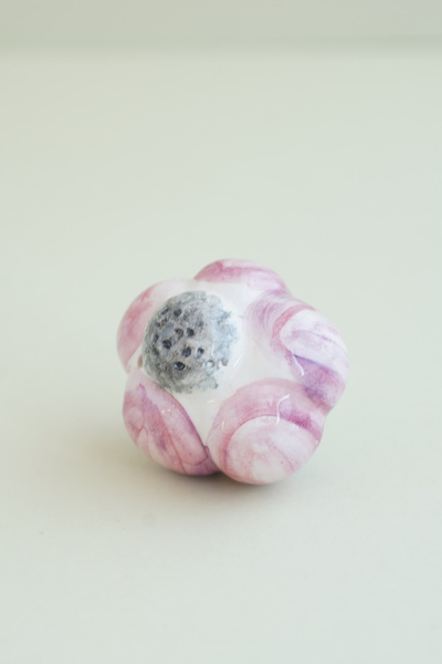 Чеснок мини