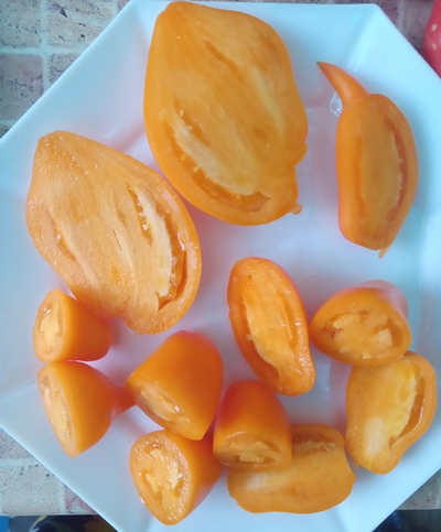 Томат Сокровище (Akmore Treasure)