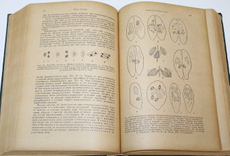 Гартман М. Общая биология. М.-Л.: Медгиз, 1936.