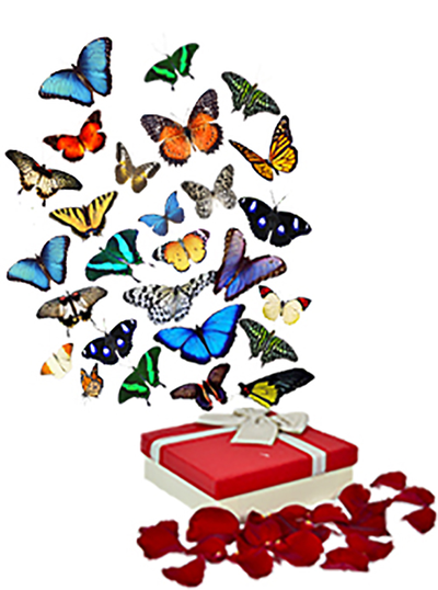 Разноцветный салют из 30 шт. бабочек. Микс из самых разных бабочек.