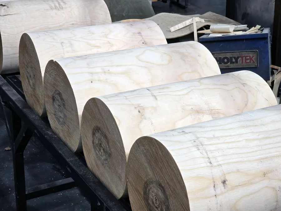 Заготовка экологически чистого шпона