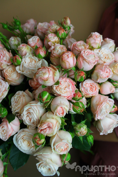 БУКЕТ МОНО ЦВЕТОВ № 443