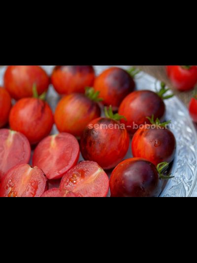 Томат Dwarf Shadow Boxing (Гном Бой с тенью), 10 шт