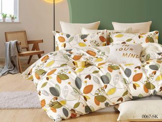 Постельное белье Cleo евро сатин 200х220х1 230х250х1 50х70х2+5см 70х70х2 31/0067-SK