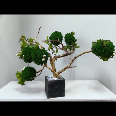 Живая эко-композиция 1006