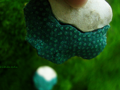 Круглые большие серьги с каплями "Сказки братьев Гримм"