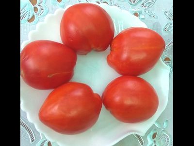 Томат Огромная слива  (Enormous Plum)