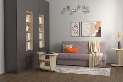 ДВУСПАЛЬНЫЙ РАСКЛАДНОЙ КЛИК-КЛЯК ПРУЖИННЫЙ ДИВАН НЕВАДА, МЕТАЛЛОСКЕЛЕТ, С ЯЩИКОМ И СЪЕМНЫМ ЧЕХЛОМ НЕДОРОГО