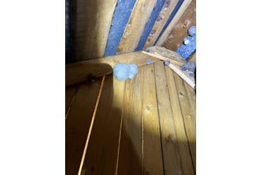 Обработка от ос и шершней