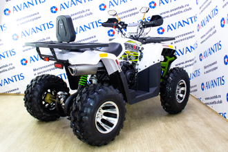 Квадроцикл Avantis Hunter 200 Premium New фото