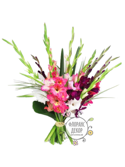 Букет гладиолусов