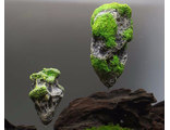 Камни для аквариума в форме летающих островов из Аватара