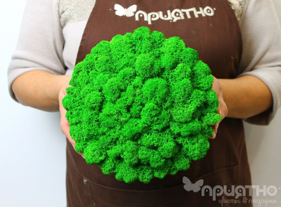 ЖИВАЯ ЭКО-КАРТИНА 1042