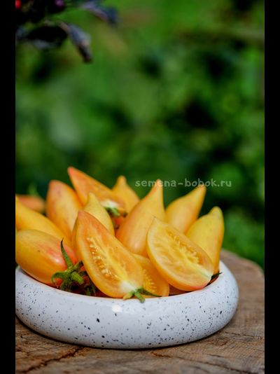 Томат Sweet Cream (Сладкий Крем), 10 шт