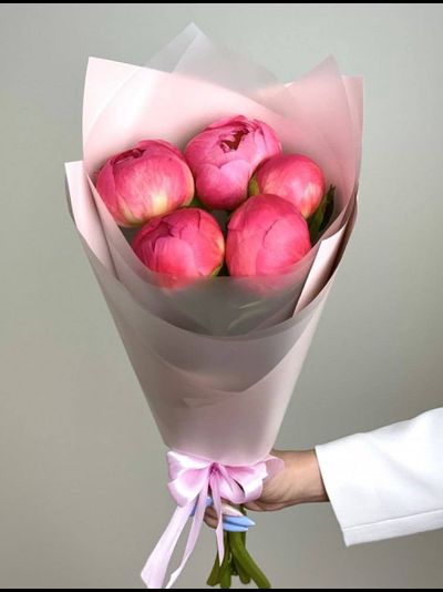 5 коралловых пионов