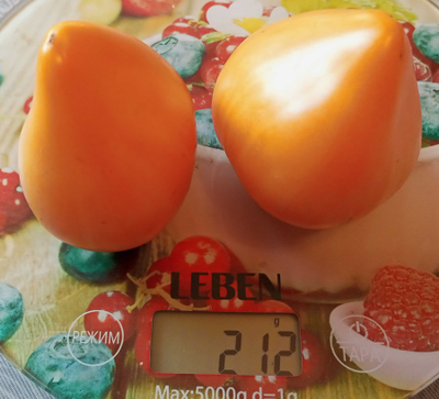 Томат Пастельное оранжевое сердце (Pastel Orange Heart)