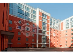 РЕКЛАМА В БЦ "PALLAU-SW"