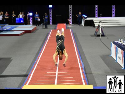 Акробатическая дорожка