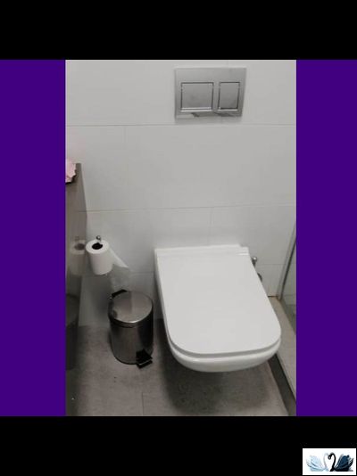 Унитаз подвесной Geberit Renova Plan 202170000, безободковый