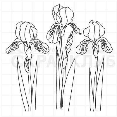 штамп с цветами