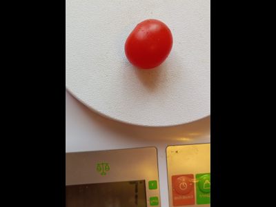 Томат Принц Баяя (Prince Bajaja)