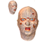 Силиконовая маска,  мумия, страшная маска, ужасная, маскарад, карнавал, латексная, хелоуин