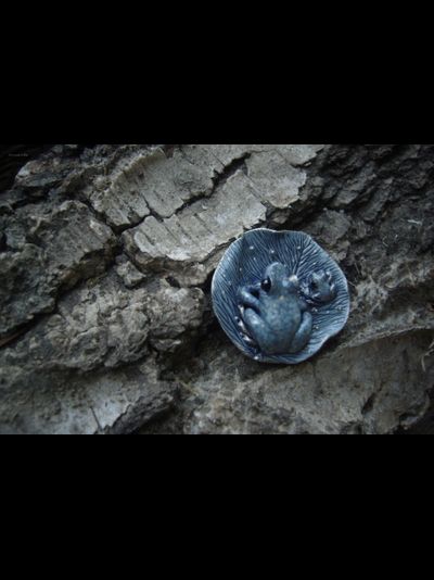 &quot;Лелевеля и Полель. В ожидании света первой звезды&quot;, мини брошь с лягушками