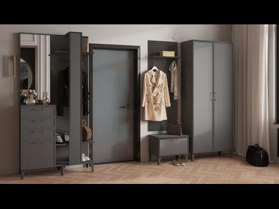 Прихожая Толедо модульная графит (Домани)