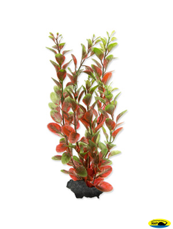 270596 Растение аквариумное Red Ludwigia (L) 30см с утяжелителем