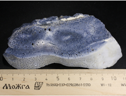 Коралл голубой Акори, Австралия (110*57*12 мм, 107 г) №37718