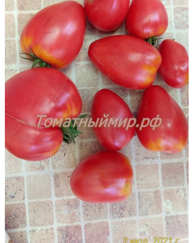 Томат Воловье сердце розовое (Volovsko srce pink)