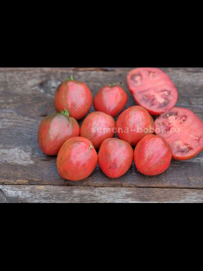 Томат Dwarf Grail (Гном Грааль), 10 шт