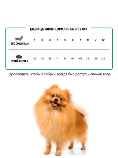 Karmy Mini Junior (Карми Мини Юниор) для щенков мелких пород, 2 кг