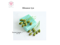 "Шишки туи" Силиконовый молд