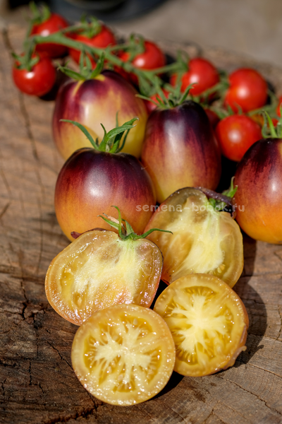 Томат Золотая Чалма, 10 шт