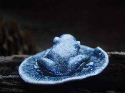 Брошь с лягушкой и речной жемчужиной "Звёздочки Жемчужницы"