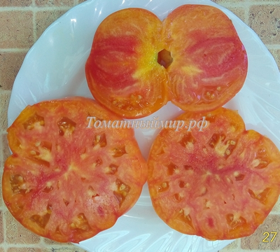 Томат Литиевый закат (Lithium Sunset), США