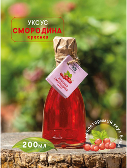 Уксус фруктовый Благоедов, 100% натуральный без добавления сахара и воды, 250 мл