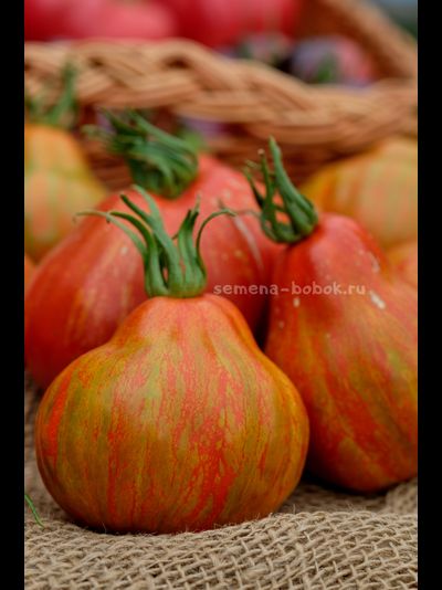 Томат Borsa di Montone (Баранья сумка), 10 шт.