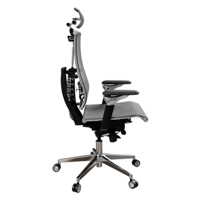 Yoga Spine Gray