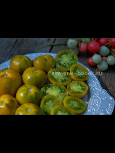 Томат Lime Green Salad (Лайм Грин Салад), 10 шт