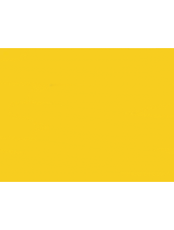 Колер паста RAL 1018 Полимер О Желтый NP 50 г