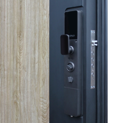 Стальная дверь   Spark. Заказная модель.