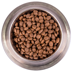 Monge Dog BWild GRAIN FREE (Монж) корм беззерновой для собак всех пород, из анчоуса c картофелем 2,5 кг