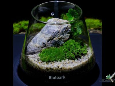 Чаша Пузырь Biolark Two (120мм х 105мм)