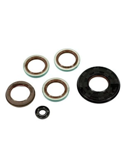 Комплект сальников двигателя/КПП SPI SM-09412 для Polaris (5411148, 5411394, 5412798, 5414096, 5411197, 3610030)