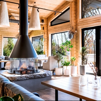 Дровяной камин для дома SEUS