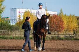 Абонемент на занятия верховой ездой